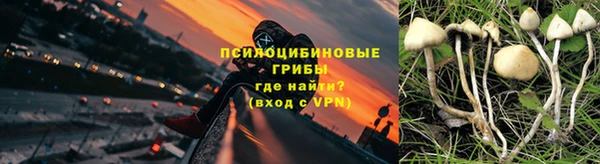 дмт Абаза
