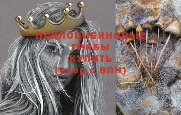гашик Абинск